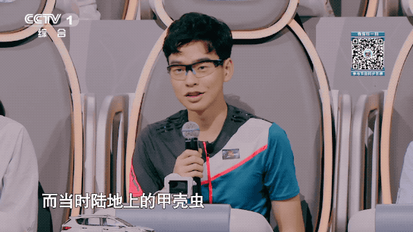 科普小课堂:陈鲲羽为什么会说:“我选择蜻蜓”