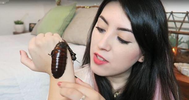 英国美女养了几只大蟑螂做宠物，真是不简单啊