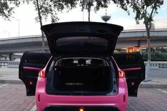 女司机的粉红色长城VV七,驾车一万公里后,吐露