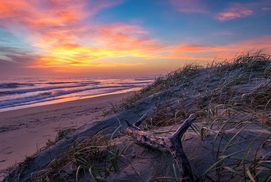 考研的你,暑假是留校还是回家?