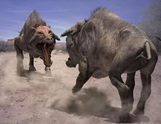 什么是史前动物 b17e-fytnfyp0281132.jpg