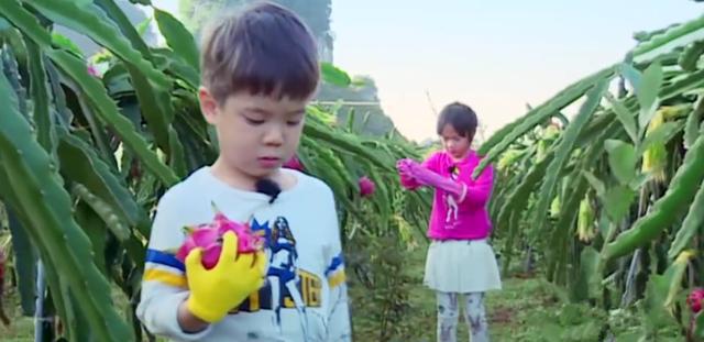 爸爸去哪,宝爸宝妈们和小春叔叔学学怎么教孩