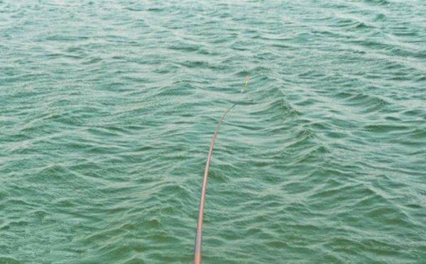 野外钓鱼遭遇走水,铅皮不加反减,他这么做有错