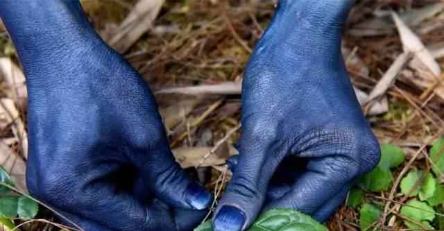 成都蒲江明月村惊现阿凡达