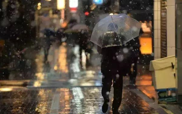 为什么日本人对透明伞的执念这么深透明伞到底