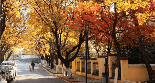 中国十座最适合读大学的城市