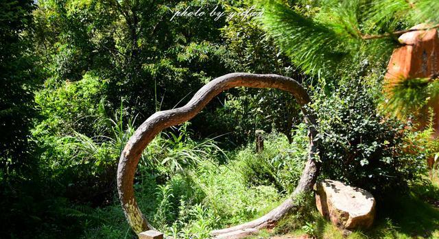 看了万绿湖的鱼, 你才知道祖国对香港有多好?