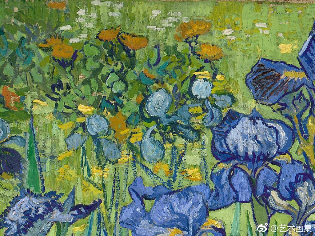 梵高《鸢尾花》细节