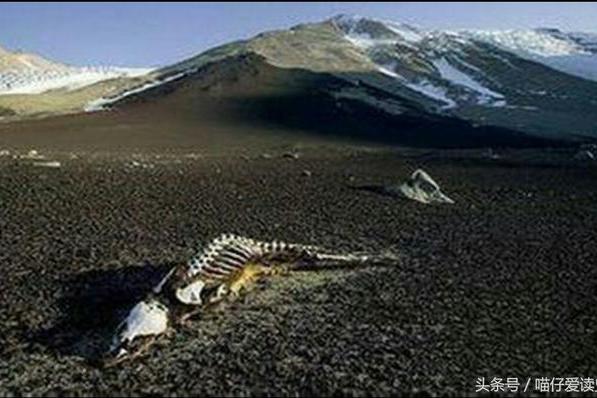 世界上三大死亡之地:每个都很神秘,中国占了一处,至今无人敢去