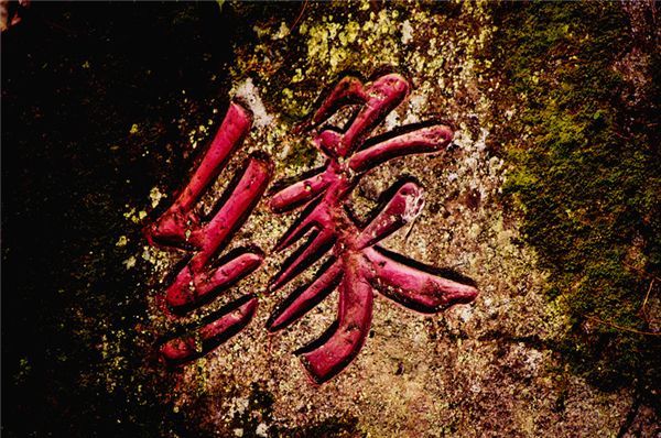 为什么你看书总是没收获看不懂