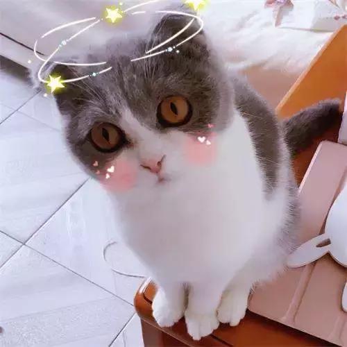 十道题测你王者荣耀的真实段位!我最强王者不