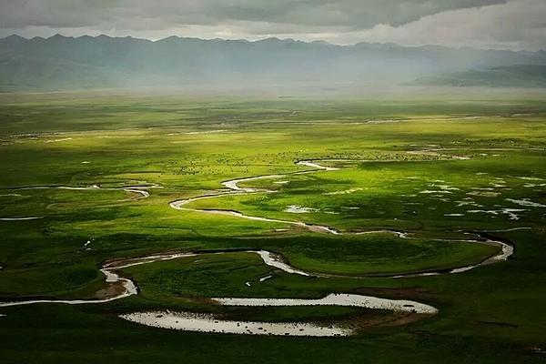 甘南有片神秘草原美如仙境，却会吃牛羊吞没飞机，一般人不敢进入