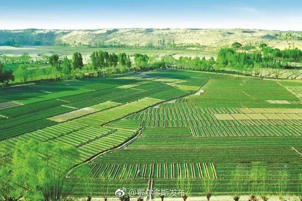 乌审旗无定河村发展乡村旅游 为乡村振兴战略