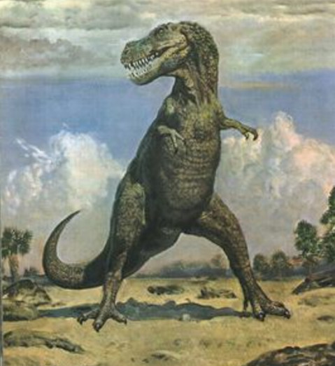 霸王龙的前肢那么短有什么用?科学家给出一个