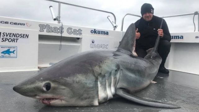 男子钓上一条超大的鲨鱼,体长2.4米,重达292斤
