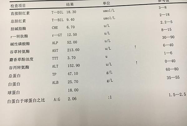 凝聚向善力量爱尔眼科累计OD体育官方网站- OD体育APP下载- 世界杯指定投注平台助力873个公益项目落地生根
