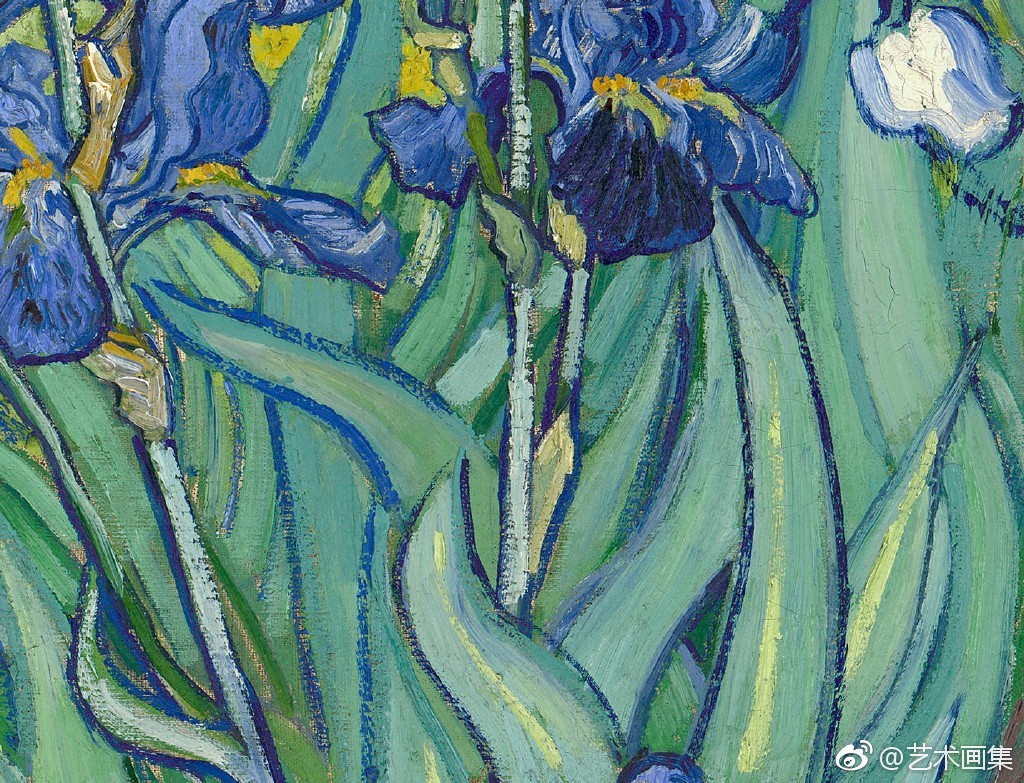梵高《鸢尾花》细节