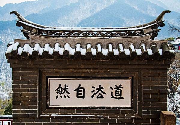 为什么你看书总是没收获看不懂