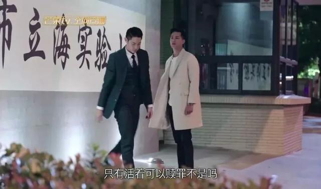 事隔十年，张柏芝复出新剧成狗血大集合，网友：新版回家的诱惑？