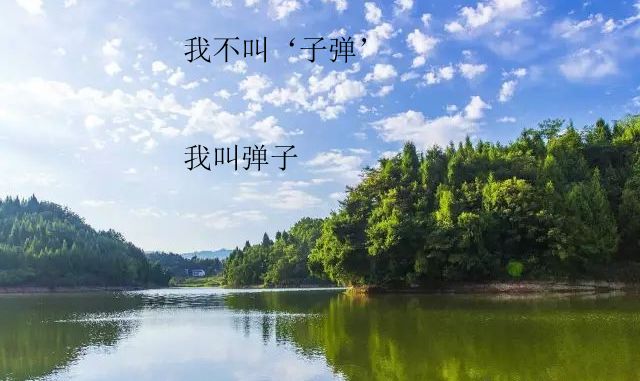万州弹子镇地处万州西部边陲,东邻开州区岳溪镇,南倚余家,后山镇,西接