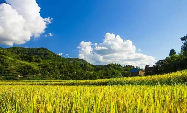 万州弹子镇地处万州西部边陲,东邻开州区岳溪镇,南倚余家,后山镇,西接
