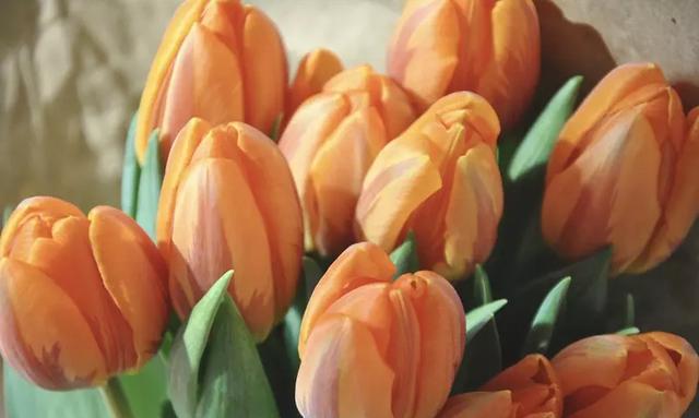 个人痛苦心累签名的句子,心累了的感情句子签