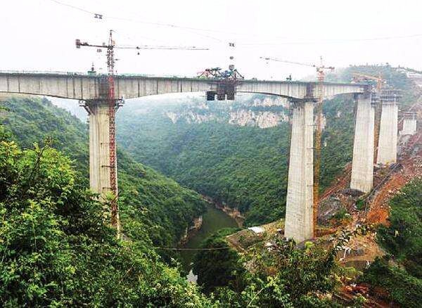 �����Σ��ɹ�����ڸ�Ůβ�� ��è��Ʊ����ѿ�