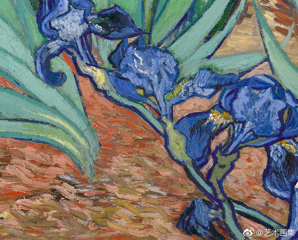 梵高《鸢尾花》细节
