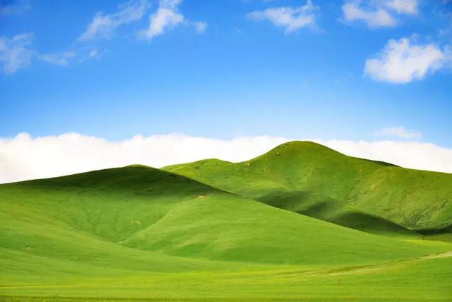 行业资讯全面解析：2025年白云棠下村情感观察与多维度信息掌握指南