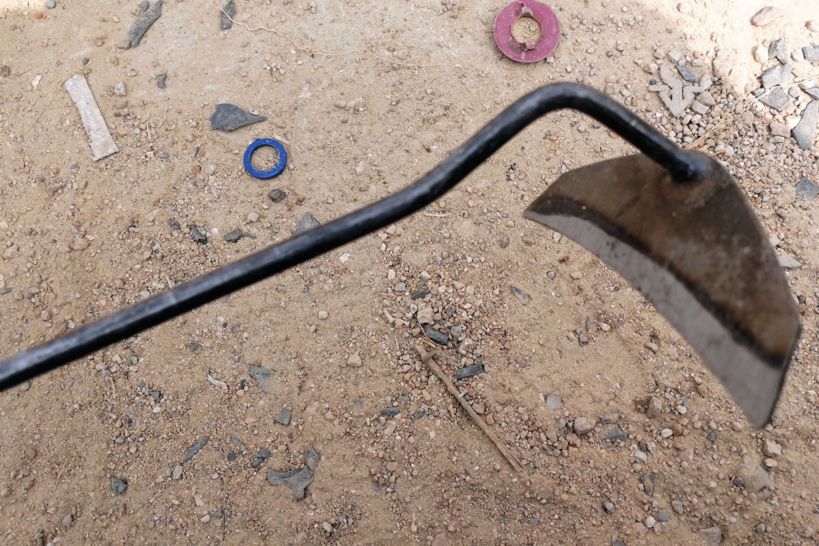 带赶海神器去赶海 事半功倍 大集上有专门出售