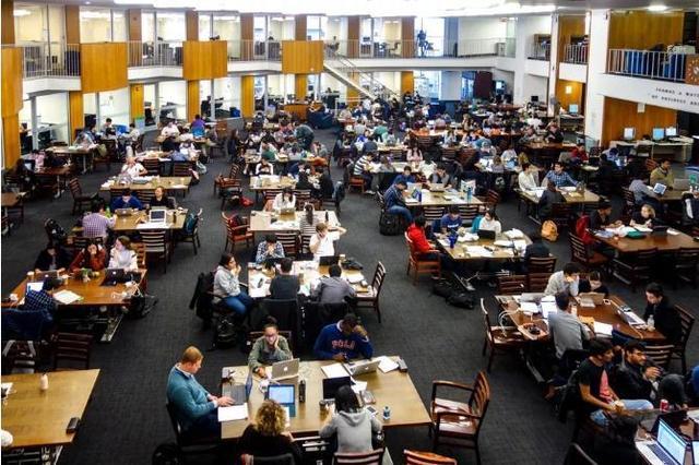 留学生海外学历造假被公示, 想要出国骗个文凭