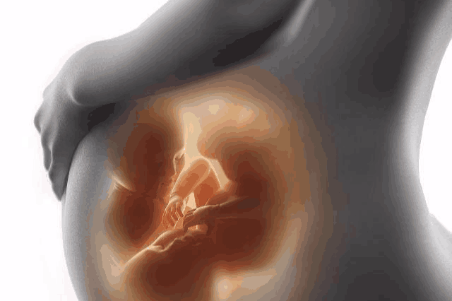 也就是我们所说的胎动是有规律的,那么这样的宝宝就是非常聪明,胎动