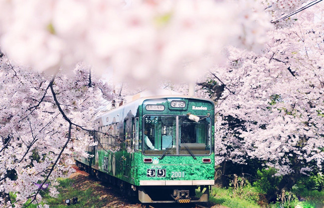 2018沈阳铁路局招聘时间和要求专业