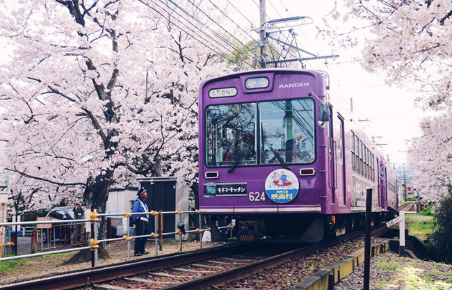 2018沈阳铁路局招聘流程|招聘条件