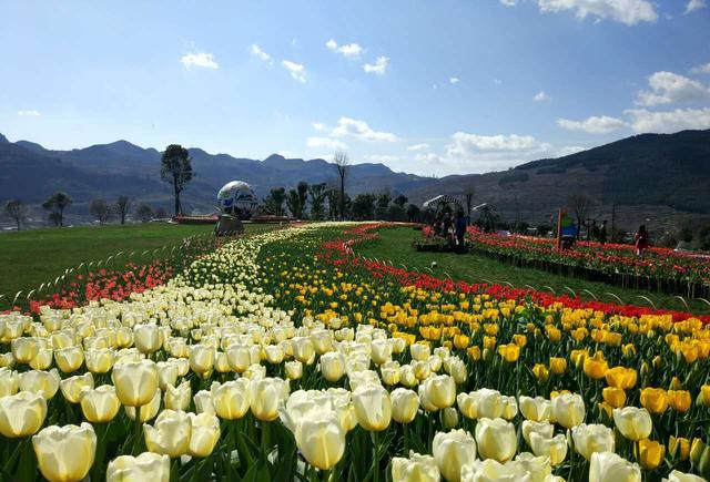 四月,五月去大河堡凉都花海旅游必须知道的公示