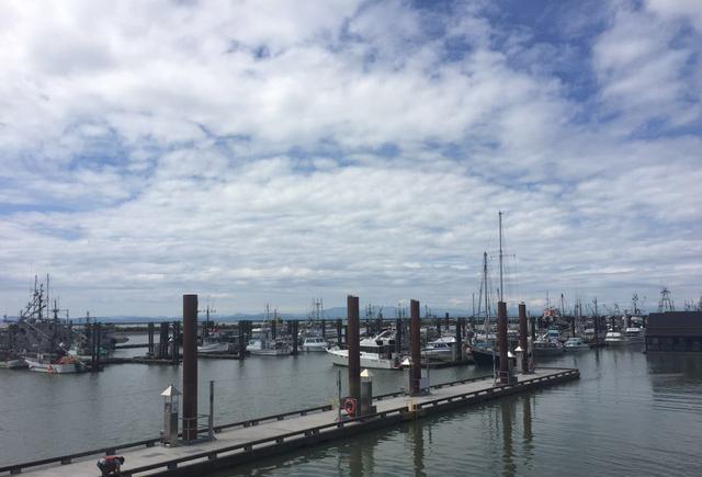 加拿大雇主担保移民的优势什么