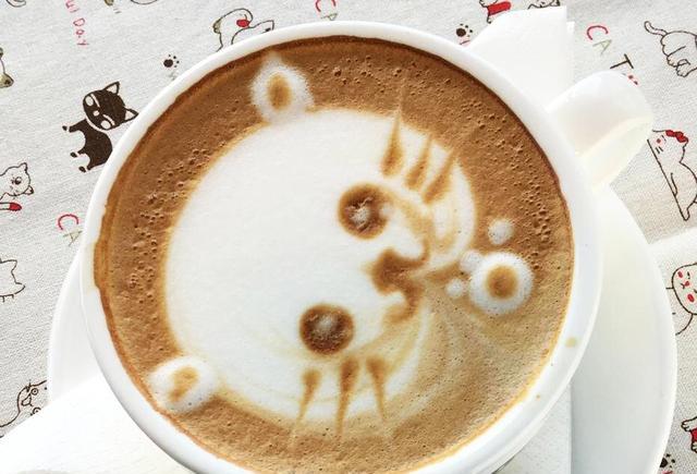 猫咪多 咖啡好喝 来京城这几家猫咪咖啡馆就对
