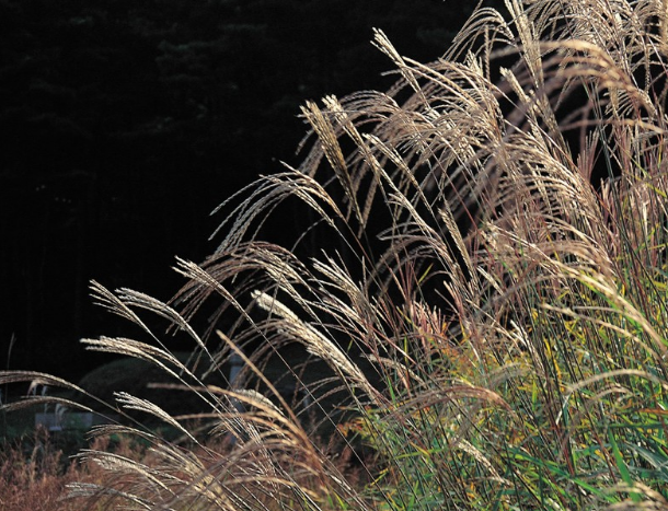 脑筋急转弯:什么车最不可能发生车祸?哈哈,答