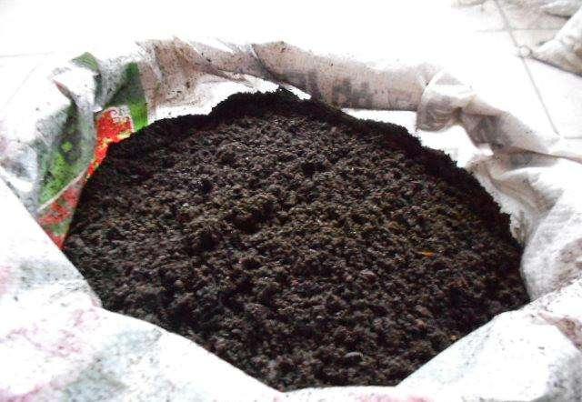 马粪是什么 0ace-fysnevm7153152.jpg