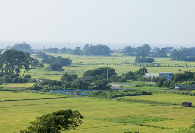 脑筋急转弯:什么车最不可能发生车祸?哈哈,答