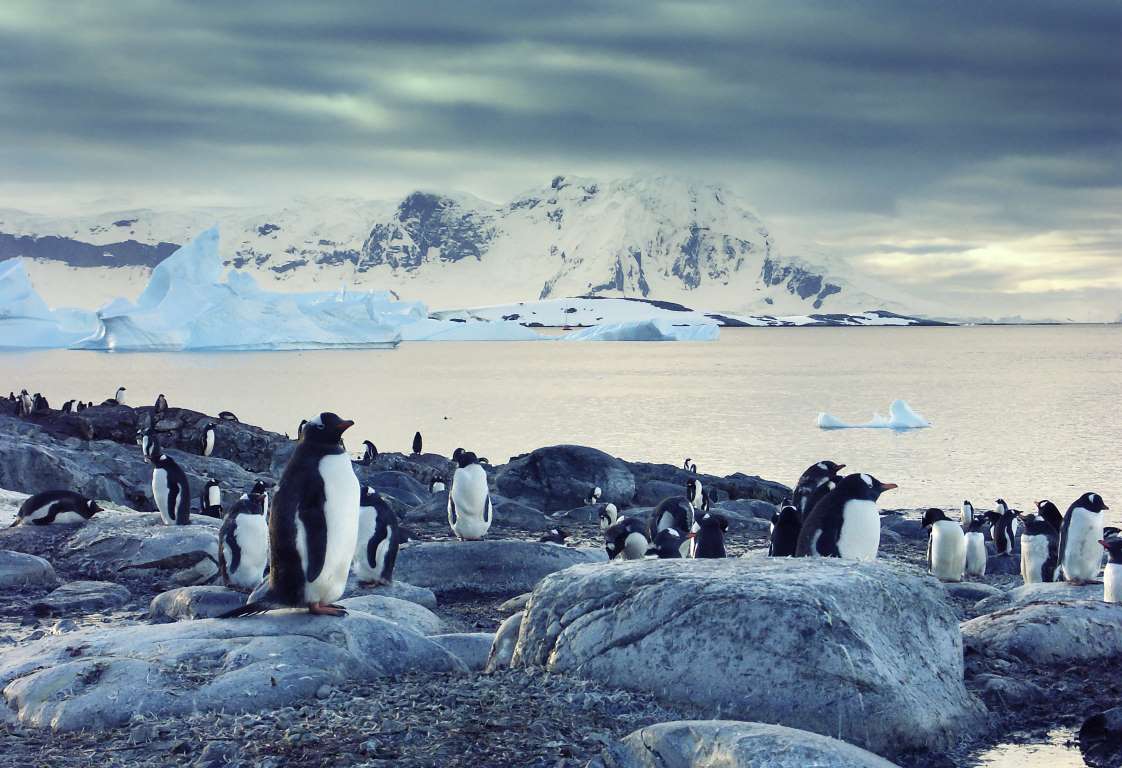 地球上最奇特的11个旅游景观，从南极到科科拉山谷，你去过吗?
