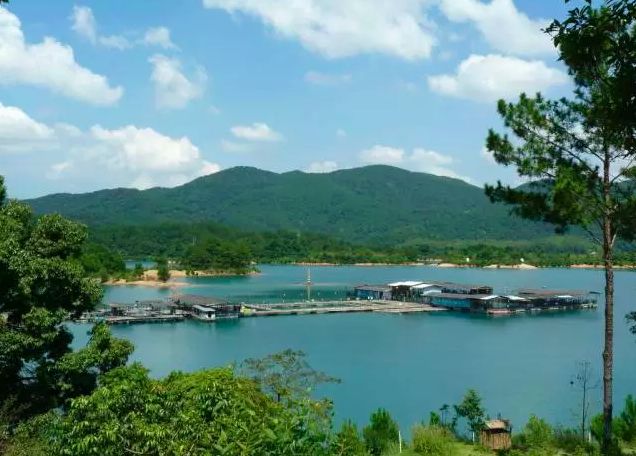 河源东源县 新浪网