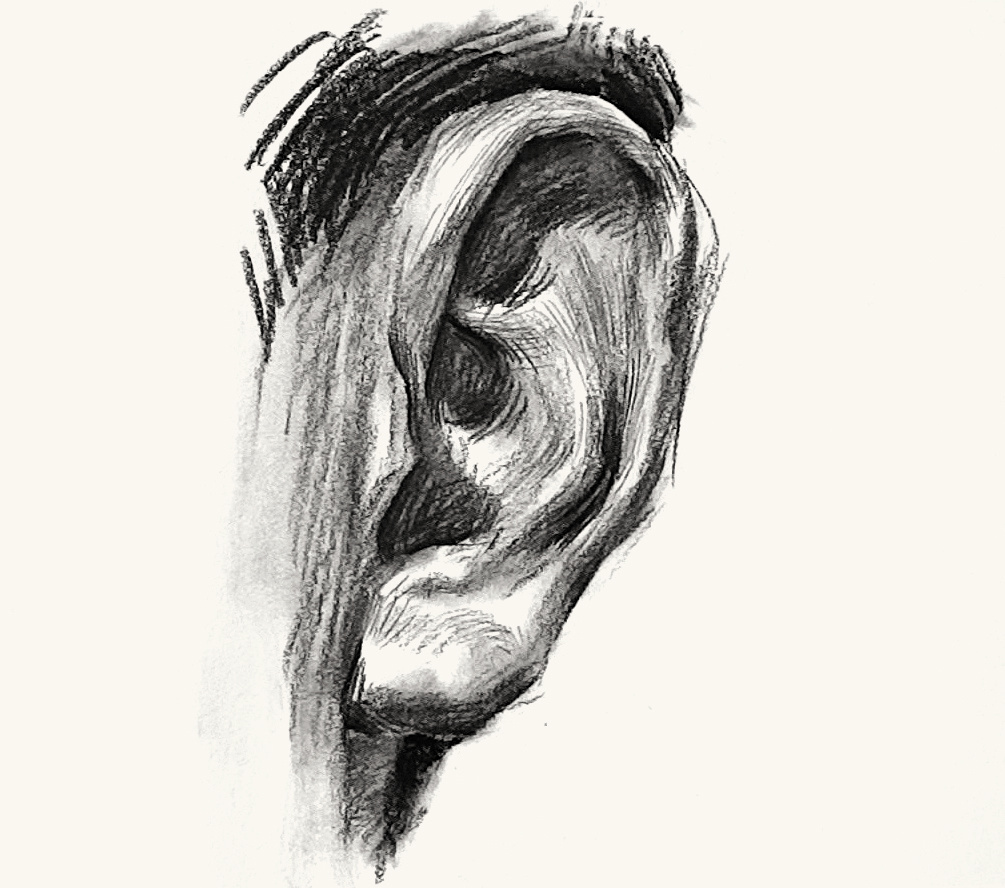 画素描耳朵的步骤