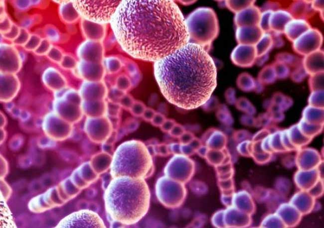 幽门螺杆菌会导致四种胃病,最怕四种食物,三类