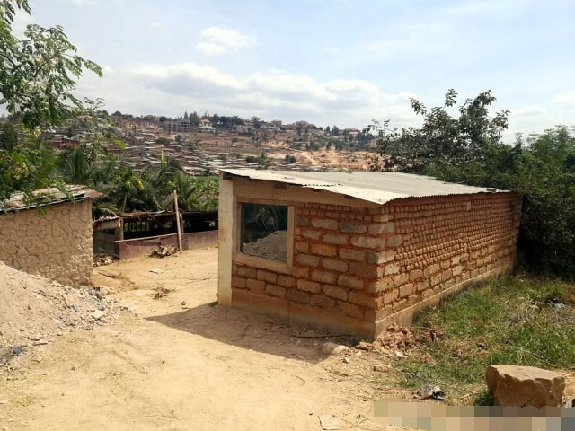 非洲还是缺水缺粮食,但中国农民在这里收入很高,不仅种地还养猪