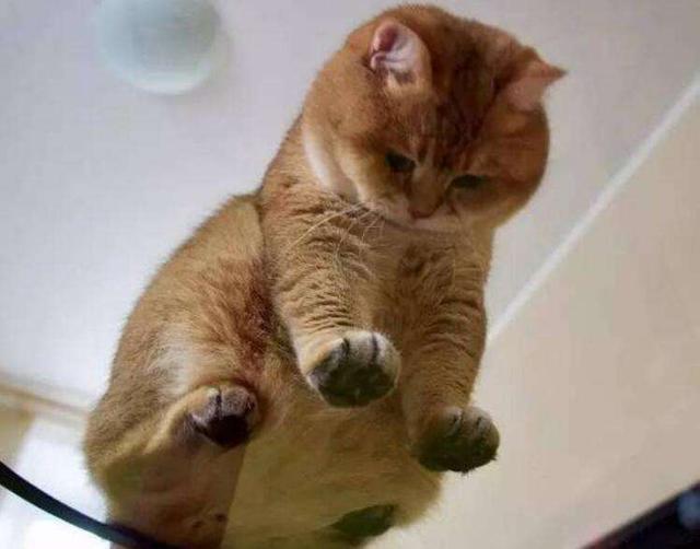 十道题测你王者荣耀的真实段位!我最强王者不