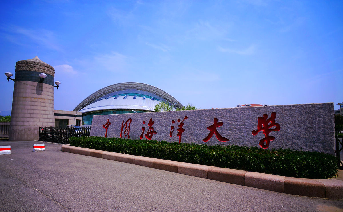 山东人口大学_山东大学(3)