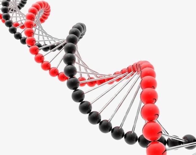 靶向治疗肺癌前必须先做基因检测