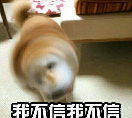 我不听我不听,我不信我不信「狗狗电钻式拒绝表情包」