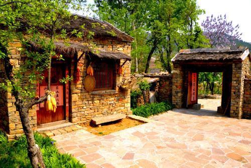 好消息! 农村最赚钱的行业, 可以拿5万补贴, 谁